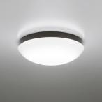 オーデリック LED浴室灯 ポーチライト FCL20W相当 昼白色