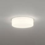 OL291137R オーデリック 小型シーリン