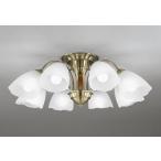 OC006918NRオーデリックシ...