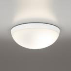 OW269026LRo-telik свет для ванной белый огонь лампа прибор 60W соответствует лампа цвет защита от дождя .. type 