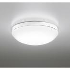 OW269013NR オーデリック LED浴室灯 ポーチライト FCL30W相当 昼白色