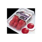 ソニック AW-232 【5個入】 カラーマグネット 赤 直径30mm AW232