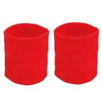 アーテック ArTec 002949 ダンスリストバンド赤