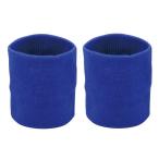 アーテック ArTec 002950 ダンスリストバンド青