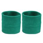 アーテック ArTec 002952 ダンスリストバンド緑