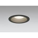 OD261822R 照明器具 センサ連動対応エクステリアライト  (φ125・白熱灯100Wクラス) LED（電球色） オーデリック
