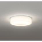 OG254874R 照明器具 エクステリアライト  (白熱灯100W相当) LED（電球色） オーデリック