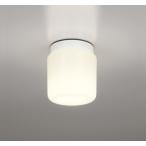 OW269004LR 浴室灯  (白熱灯60W相当) LED（電球色） オーデリック(ODX) 照明器具