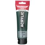 ta- Len s Japan Talens Japan акрил краситель am стерео ru dam ak Lyric цвет sap зеленый T1709-623 120ml 46