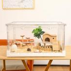 Ruexue ハムスターケージ&モルモットケージ、小動物ペット用の完全透明でエコフレンドリーな大型アクリルケージ、例えば_ヒゲトカゲ、ネズミ、ハ