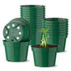 3 номер горшок выращивание рассады pot 20 шт. комплект, легкий осушение дыра имеется модный пластик горшок, корень коррозия . предотвращение суккулентное растение садоводство pot ( зеленый,20 штук входит )