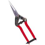  близко правильный Chikamasa CHIKAMASAкнига@ работа садоводство для нержавеющая сталь . порез *. цветок .T-55SH