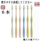 歯ブラシ 職人の歯ブラシ ライフレンジ 小さめヘッド 歯磨き 歯みがき 磨きやす