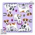 日本製ジャックラッセルテリアペアハ...