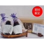 Yahoo! Yahoo!ショッピング(ヤフー ショッピング)お試し商品（浅漬２個・生の水なす２個をセット）