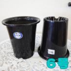 . Ran горшок 6 номер 2 горшок комплект l материал 04-PA