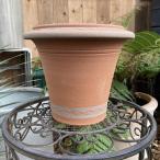 テラコッタ鉢 ウィッチフォード Whichford Species Hellebore Pot 866（代引き不可）｜資材04-PA
