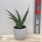 商品画像3