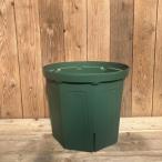  корень засорение . трудно! горшок с разрезом примерно 12 номер CSM-350( зеленый )l материал 04-PA