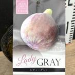 イチジク レディーグレイ 5号｜果樹04-PA