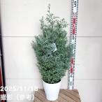  Северная Европа стиль him Roth gi6 номер l Hanaki 04-PA