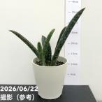 商品画像3