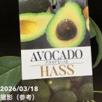 商品画像2