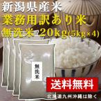 無洗米 20kg(5kg×4) 送料無料 新潟県産 お米