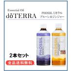 do tera doTERRA минерал мед Gin ja-& чернослив 550ml×2 шт. комплект 