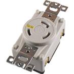  american электро- машина .. форма . включено розетка белый заземление (элект.) форма 2P250VNEMAL6-30