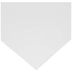  свет (Hikari) свет поли машина bone-to зеркало 150×200×1mm PCM-1520