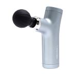 do корова автомобиль .. Release gun отметка свекла портативный легкий 4 -ступенчатый колебание заряжающийся 4 видов с принадлежностями . серебряный 