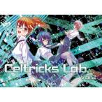 Celtricks Lab. vol. 2 / Casket