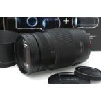 PANASONIC LUMIX G Vario 100-300mm F4-5.6 II