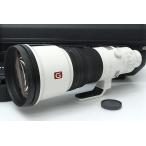 SONY FE 600mm F4 GM OSS