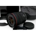 【全額返金保証】極美品｜キヤノン RF14-35mm F4 L IS USM CA01-M2948-2B3