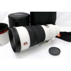 【全額返金保証】極美品｜ソニー FE 300mm F2.8 GM OSS SEL300F28GM CA01-M3178-2B1