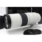 【全額返金保証】極美品｜キヤノン RF200-800mm F6.3-9 IS USM CA01-R243-2R7