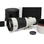 【全額返金保証】極美品｜ソニー FE 300mm F2.8 GM OSS SEL300F28GM CA01-B573-2S5