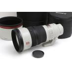 【全額返金保証】美品｜ソニー FE 300mm F2.8 GM OSS SEL300F28GM CA01-B2298-2B1