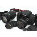 【全額返金保証】美品