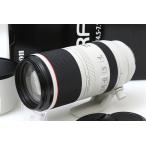 【全額返金保証】美品｜キヤノン RF100-500mm F4.5-7.1 L IS USM CA01-R4941-2R9