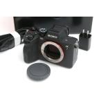【全額返金保証】並品