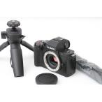 PANASONIC LUMIX DC-G100