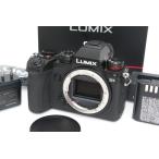 PANASONIC LUMIX DC-S5