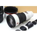【全額返金保証】美品｜ソニー FE 300mm F2.8 GM OSS SEL300F28GM CA01-R5982-2D5