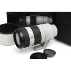 【全額返金保証】美品｜ソニー FE 100-400mm F4.5-5.6 GM OSS SEL100400GM CA01-B6280-2S4
