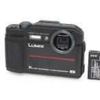 【全額返金保証】良品｜パナソニック LUMIX DC-FT7 CA01-R6248-2P2B