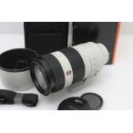 FE 100-400mm F4.5-5.6 GM OSS SEL100400GM