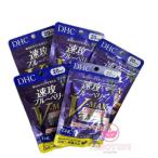DHC 速攻ブルーベリー V-MAX 100日分（20日×5袋セット）健康食品 賞味期限2028年以降